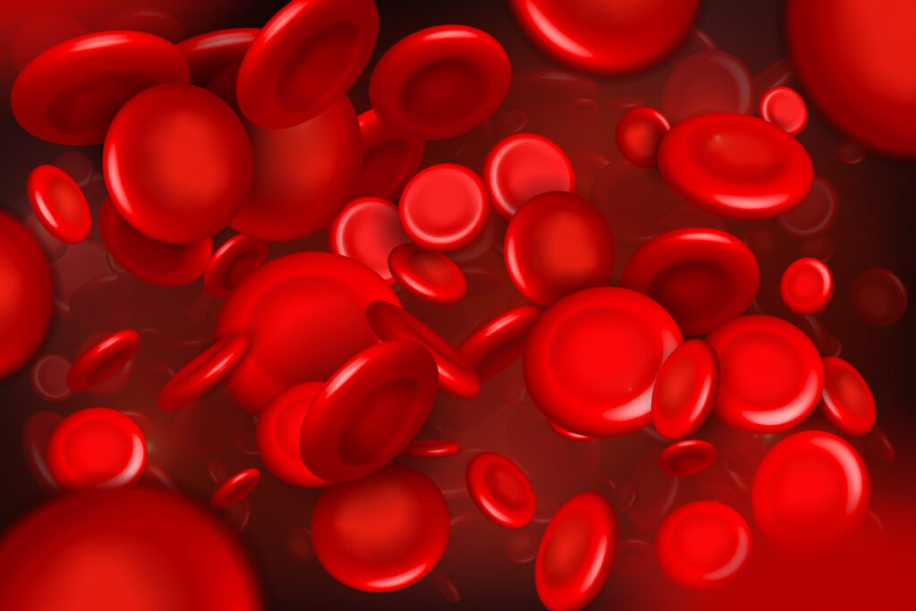 red blood cells