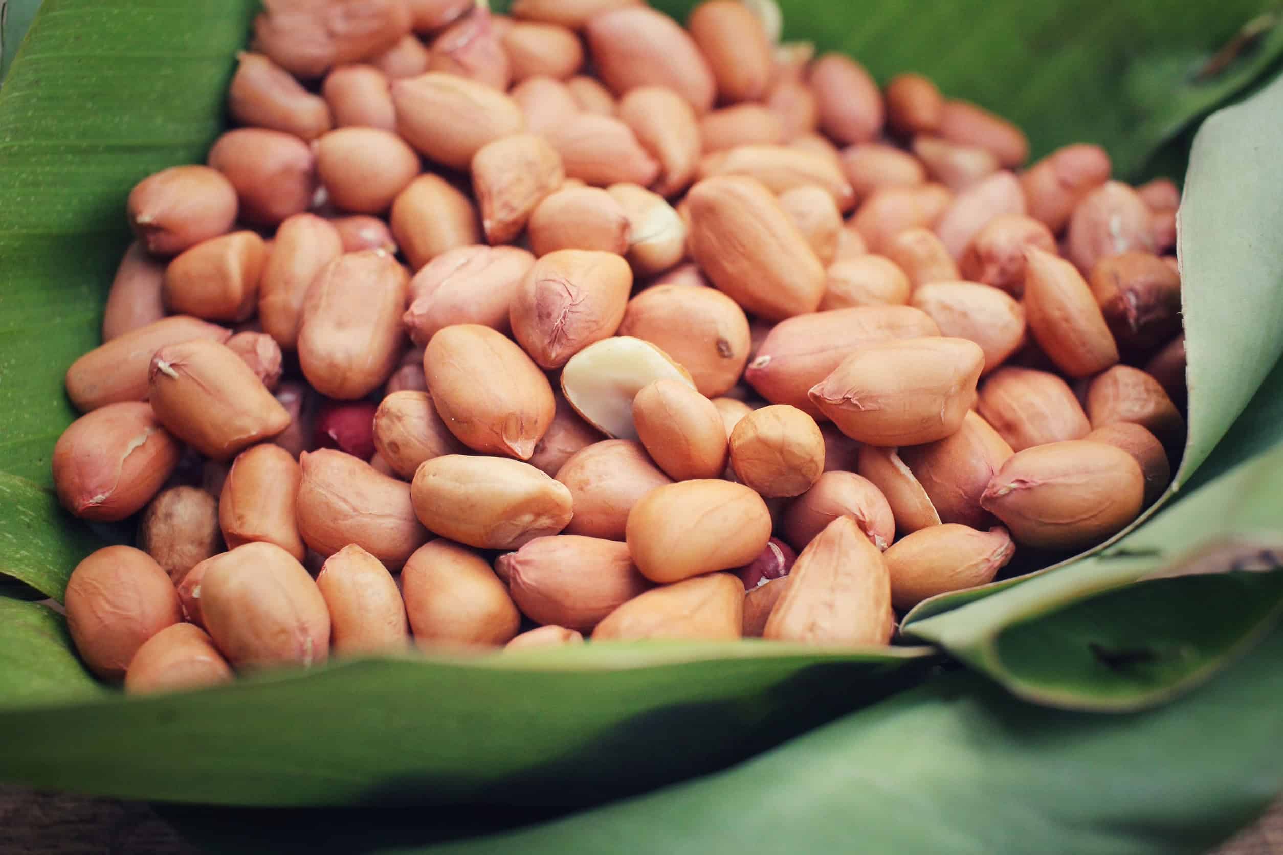 Peanut chaat - Madhavi Shilpi