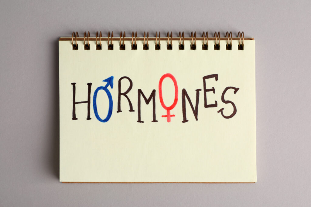 Notebook displaying the word "HORMONES" with the letters "O" and "O" creatively illustrated using male (blue) and female (red) gender symbols.